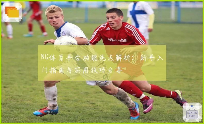 NG体育平台功能亮点解析：新手入门指南与实用技巧分享