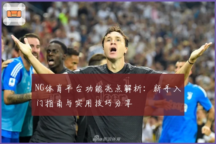 NG体育平台功能亮点解析：新手入门指南与实用技巧分享